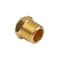 Bailey Brass Breather Vents: 40 Micron, SAE 8 Thread 237257 - alternate 2